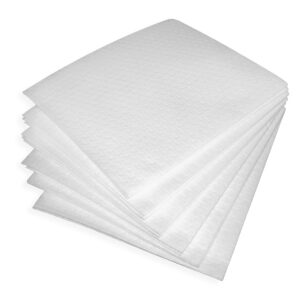 TENA Dry Washcloths, Disposable, White, 13" x 13-1/4" Inch, 1 Case of 16
